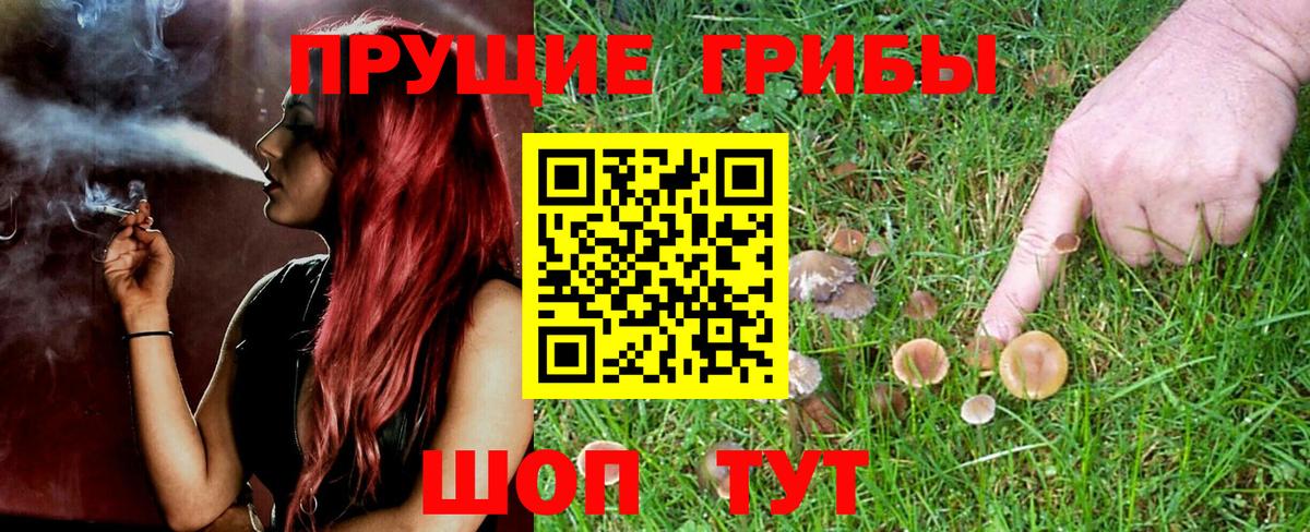 Псилоцибиновые грибы ЛСД  Вход с VPN  Псилоцибиновые грибы ЛСД  Лыткарино 