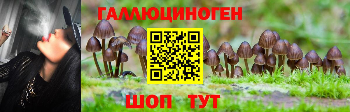 Псилоцибиновые грибы GOLDEN TEACHER Лыткарино